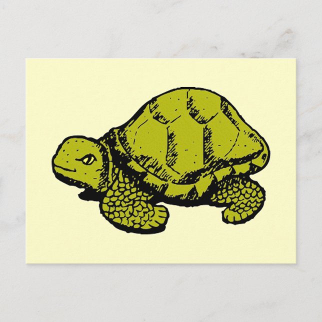 Tortoise Postkarte (Vorderseite)