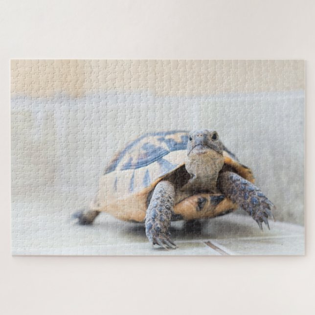 Tortoise Puzzle (Horizontal)