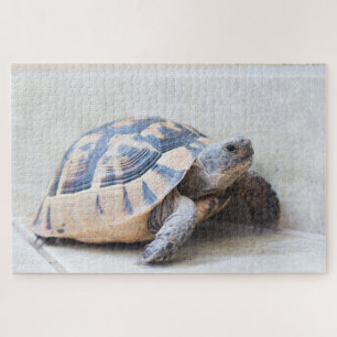 Tortoise Puzzle