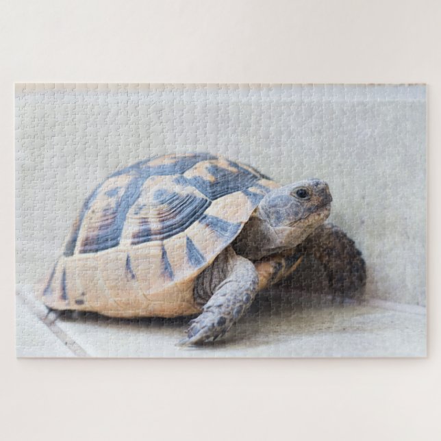 Tortoise Puzzle (Horizontal)