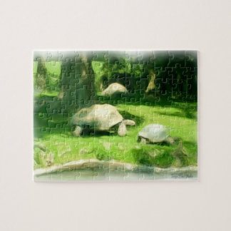 Tortoise Race Puzzle