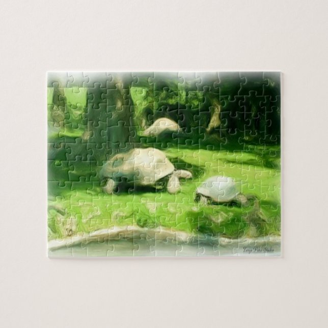 Tortoise Race Puzzle (Horizontal)