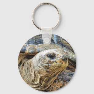 TORTOISE SCHLÜSSELANHÄNGER