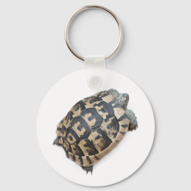Tortoise Schlüsselanhänger (Vorderseite)