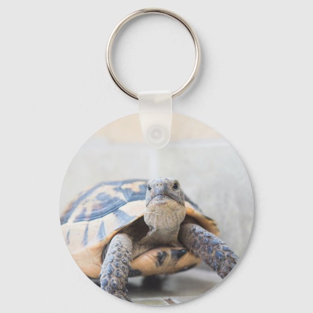 Tortoise Schlüsselanhänger (Vorderseite)