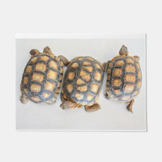 Tortoise Trio Fußmatte