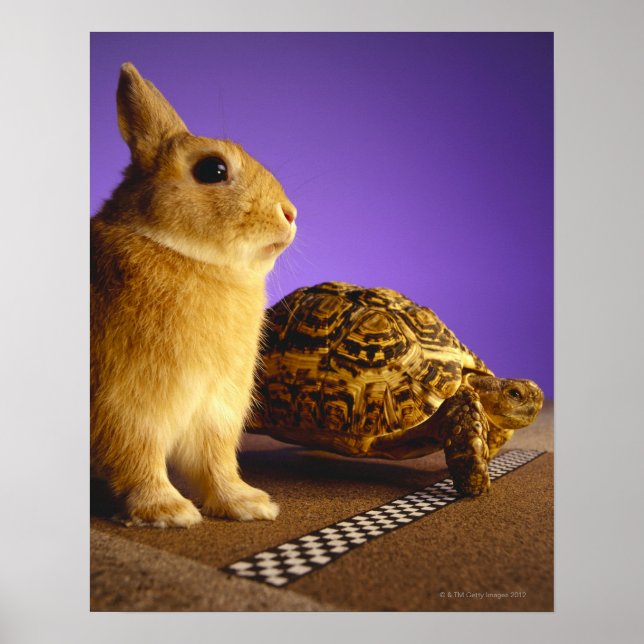 Tortoise und der Hase Poster (Vorne)
