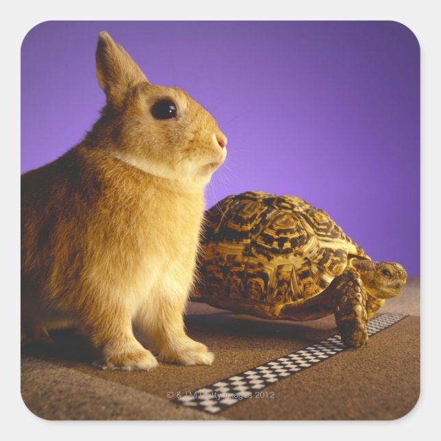 Tortoise und der Hase Quadratischer Aufkleber (Vorderseite)