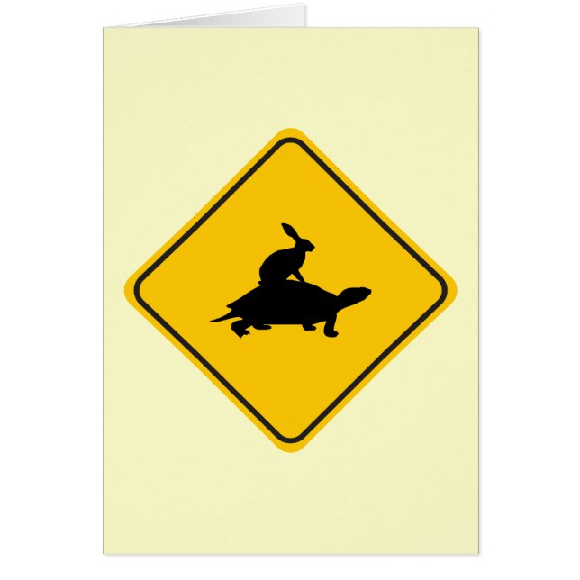 Tortoiseback Hase-Überfahrt (Vorne)