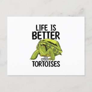 Tortoises Postkarte