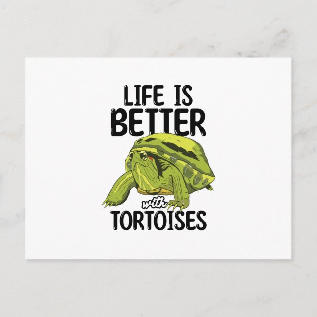Tortoises Postkarte (Vorderseite)