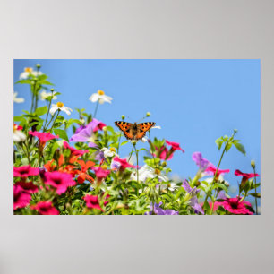 Tortoiseshell auf Petunia-Blume mit blauem Himmel Poster