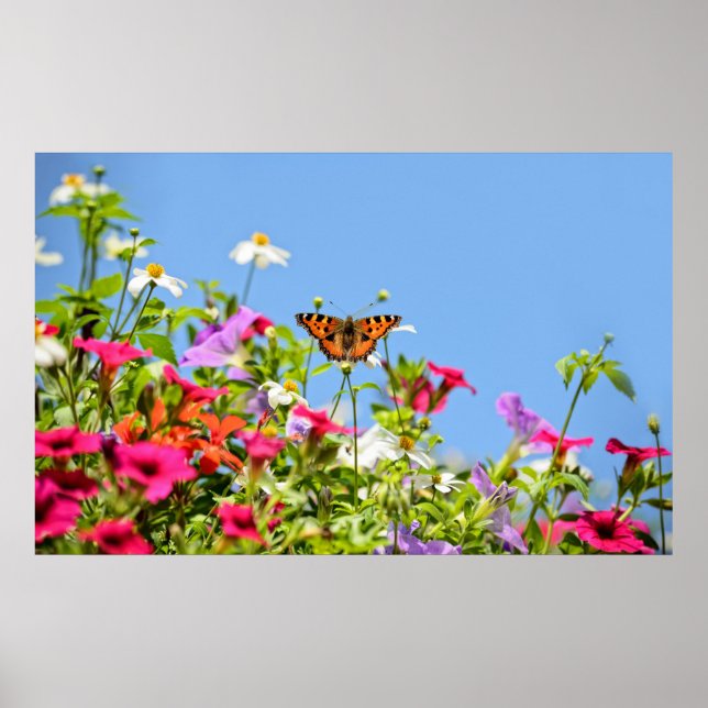 Tortoiseshell auf Petunia-Blume mit blauem Himmel Poster (Vorne)