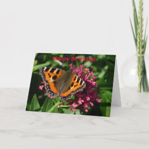 Tortoiseshell Butterfly Karte