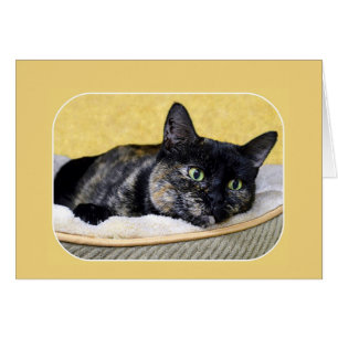 Tortoiseshell Cat Denken