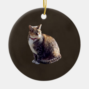 Tortoiseshell Cat Keramik Ornament