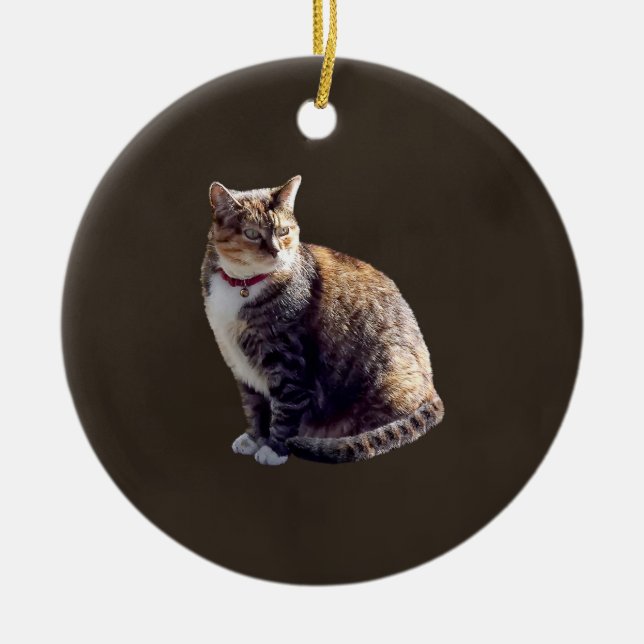 Tortoiseshell Cat Keramik Ornament (Vorne)