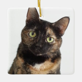 Tortoiseshell Cat Keramikornament