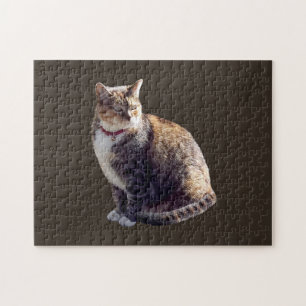 Tortoiseshell Cat Puzzle