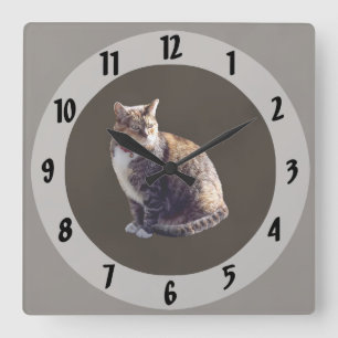 Tortoiseshell Cat Quadratische Wanduhr