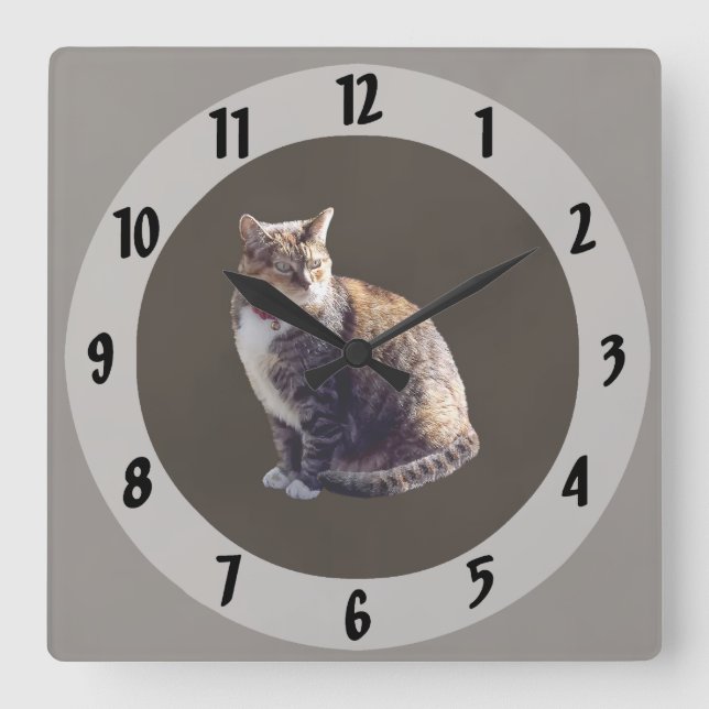 Tortoiseshell Cat Quadratische Wanduhr (Vorderseite)