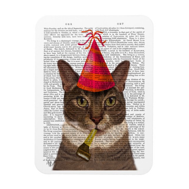 Tortoiseshell Chat mit Party Hat Magnet (Vertikal)