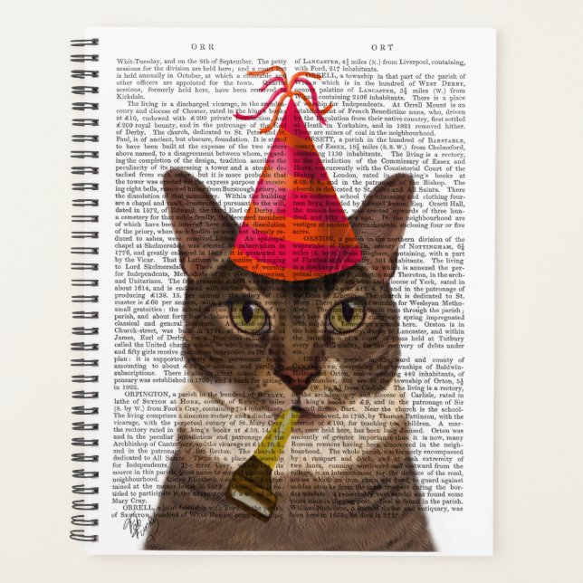 Tortoiseshell Chat mit Party Hat Planer (Vorderseite)