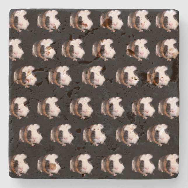 Tortoiseshell Guinea Schweine, Stone Untersetzer (Vorderseite)