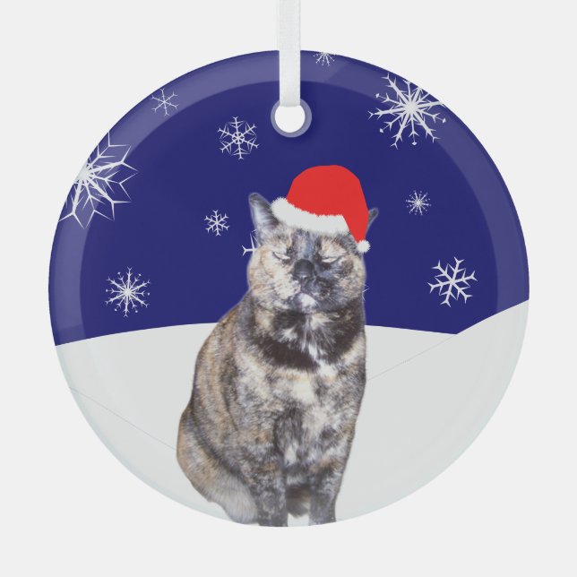 Tortoiseshell Katze in Weihnachtsmannmütze mit Sno Ornament Aus Glas (Vorderseite)