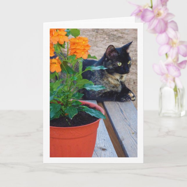 Tortoiseshell Katze mit Firecracker-Blume Karte (Orchidee)