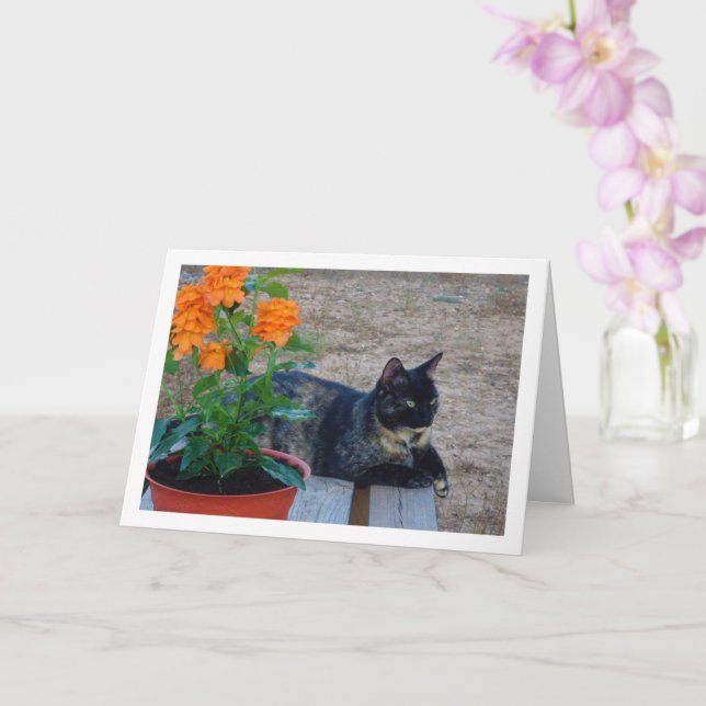Tortoiseshell Katze mit Firecracker-Blume Karte (Orchidee)