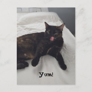 Tortoiseshell Katzenzunge Kaugummi Postkarten