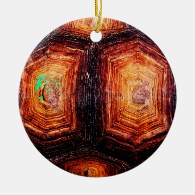 Tortoiseshell Keramik Ornament (Vorne)
