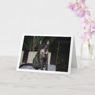 Tortoiseshell Kitten am Tisch Karte