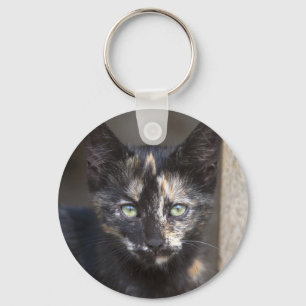 Tortoiseshell Kitten Schlüsselanhänger