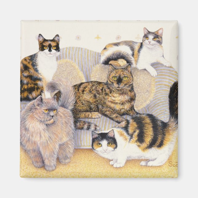 Tortoiseshell Ladies Magnet (Vorne)