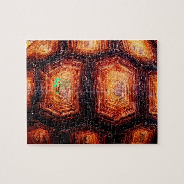 Tortoiseshell Puzzle (Horizontal)