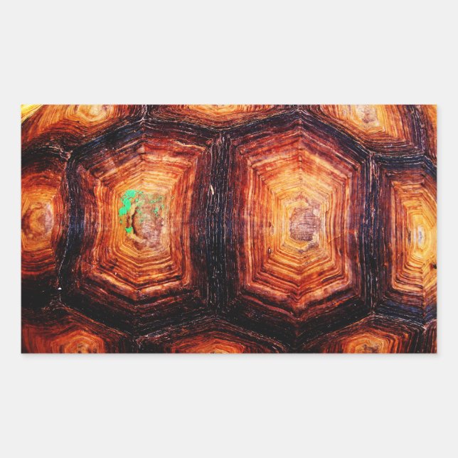 Tortoiseshell Rechteckiger Aufkleber (Vorderseite)