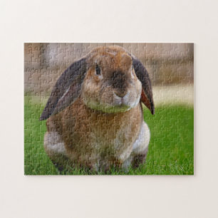 Tortoiseshell Velveteen Holland Lop Bunny Rabbit Puzzle