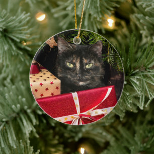 Tortoiseshell Weihnachtsfeier Keramik Ornament
