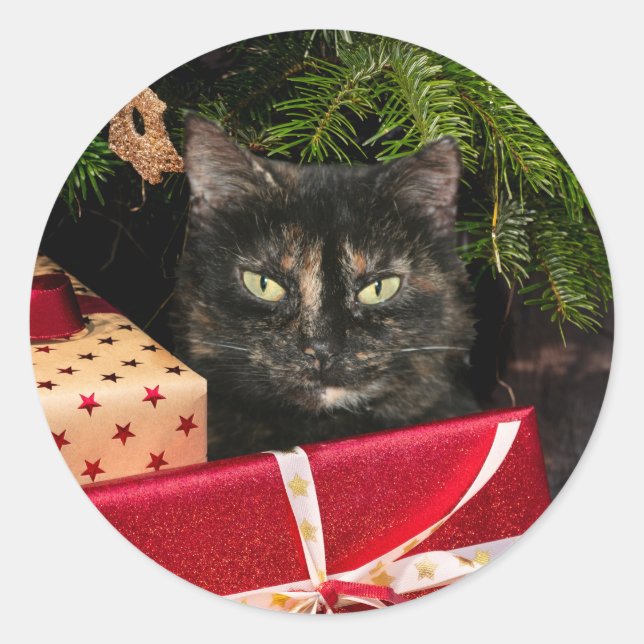 Tortoiseshell Weihnachtsfeier Runder Aufkleber (Vorderseite)
