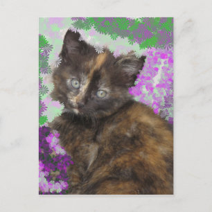 Tortoisshell Kitten in Gree und Purple Flowers Postkarte
