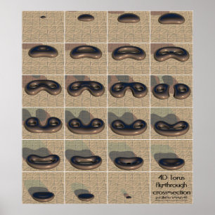 Torus 4D Fliege-durch Querschnitt Poster