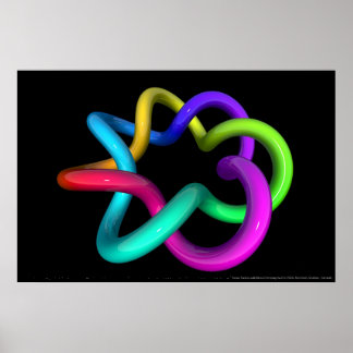 Torus Drehung II Poster