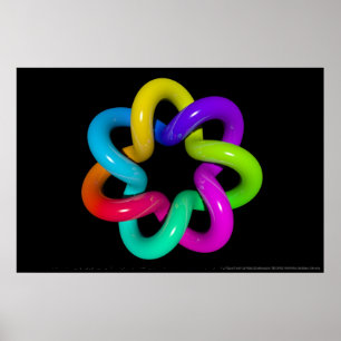 Torus Twist Poster