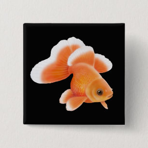 Tosakin Schmetterlings-Schwanzgoldfish-Button Button