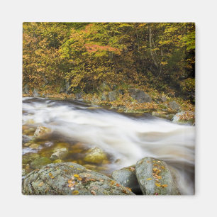 Tosender Bach im Herbst in Vermonts Green Magnet