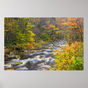 Tosender Bach im Herbst in Vermonts Green Poster