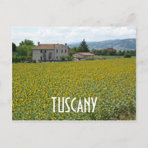 Toskana-Hügel-Sonnenblumenfeld-Postkarte Postkarte