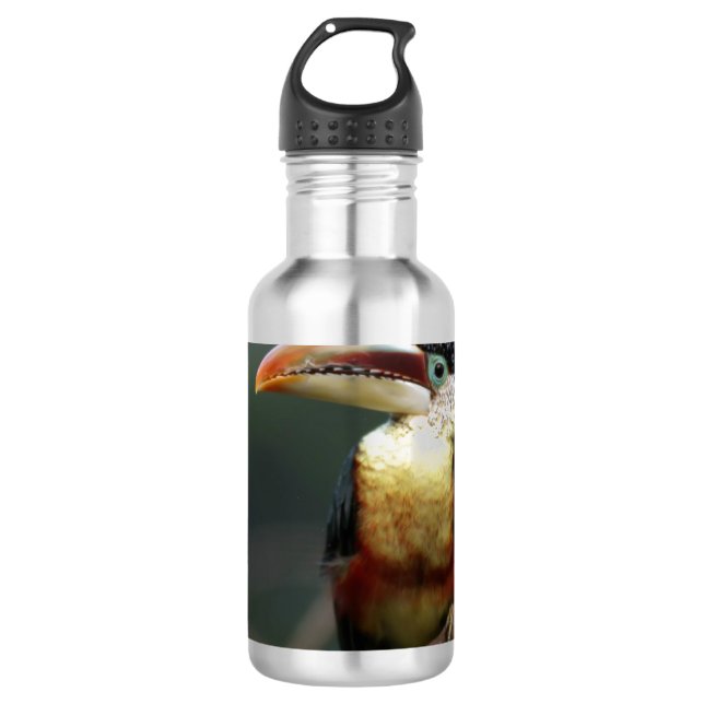 Toskana im Zoo Trinkflasche (Vorderseite)